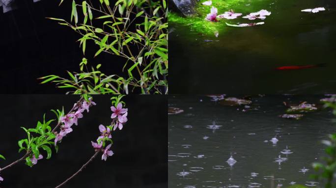 江南雨中美景