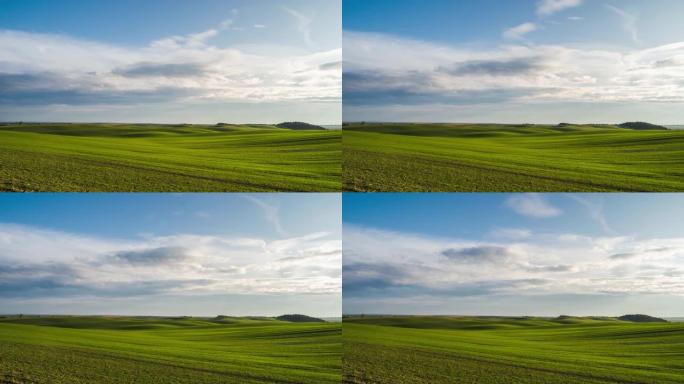 青山。春季，天然麦田有4K的延时，晴云。蔚蓝多云的天空下一望无际的绿色谷物田。