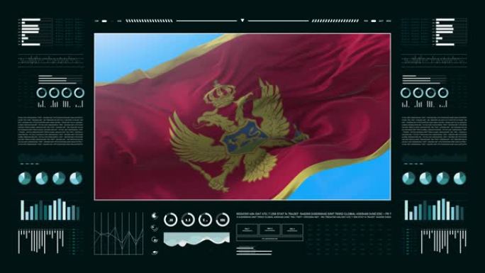 黑山信息分析报告和财务数据