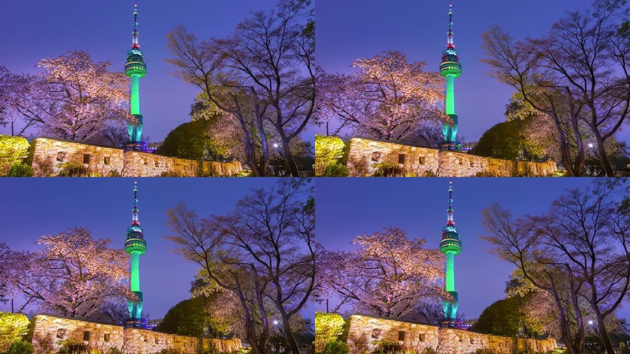 首尔塔在春天的晚上，樱花树盛开，古老的墙壁与光，韩国。4k延时