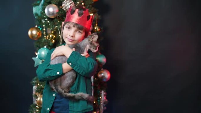 男孩在圣诞树的背景下抱着一只灰猫。