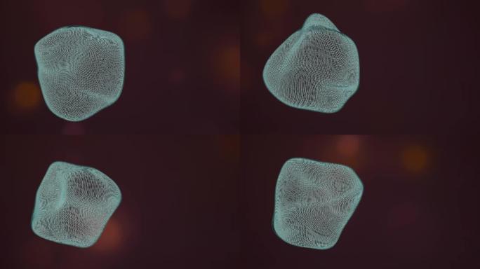 通过实验室显微镜观察受精卵，在深红色背景上收缩并变形。