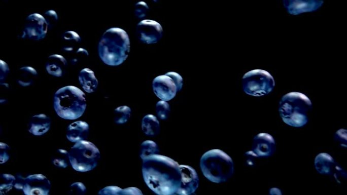 成熟的蓝莓在黑色背景上飞行