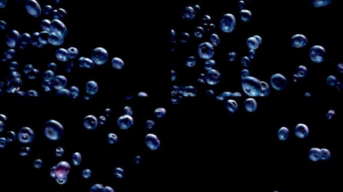 成熟的蓝莓在黑色背景上飞行