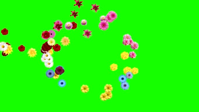 绿屏花开动画组绿幕抠像鲜花漂浮特效动画素