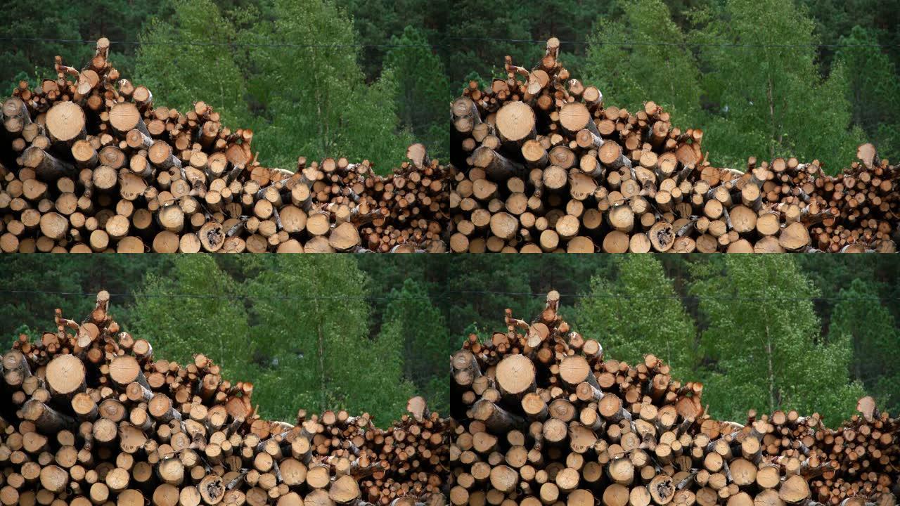 木材库存木材厂砍伐树木木材对方