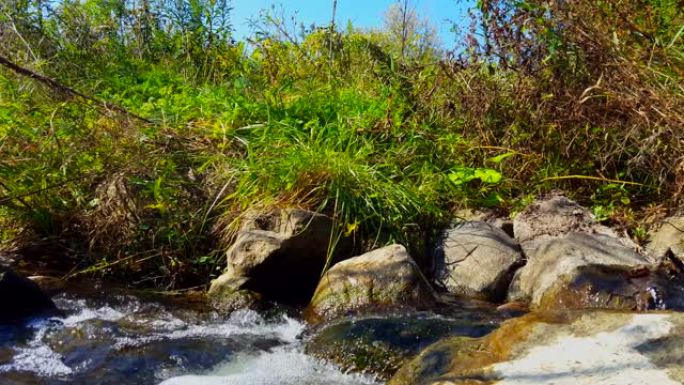 * 反向运动 * 夏天在河流岩石上的胡言乱语。白天，流动的淡水在郁郁葱葱的绿草旁向上坡流。