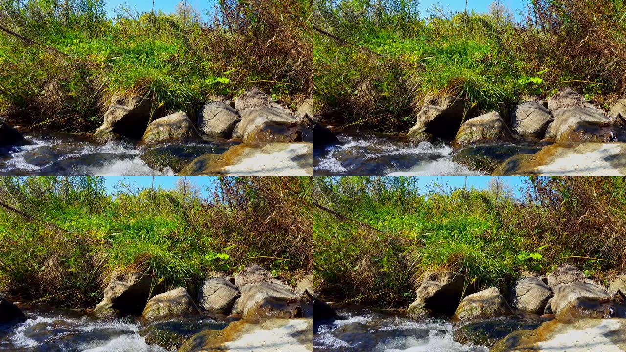 * 反向运动 * 夏天在河流岩石上的胡言乱语。白天，流动的淡水在郁郁葱葱的绿草旁向上坡流。