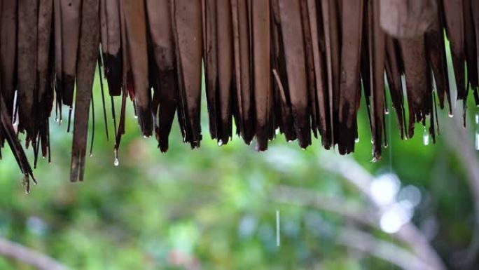 夏季降雨大雨滴落在非洲坦桑尼亚的稻草屋顶上