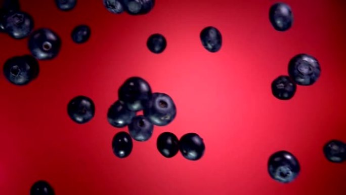 红色背景上飞行的大成熟蓝莓