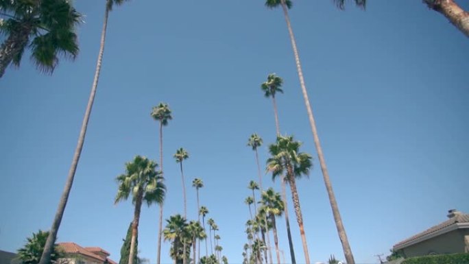 有棕榈树的比佛利山街。晴天。加利福尼亚州洛杉矶。