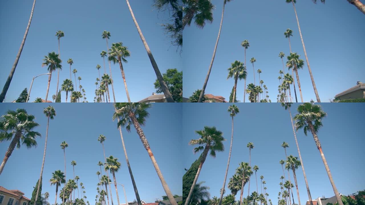 有棕榈树的比佛利山街。晴天。加利福尼亚州洛杉矶。