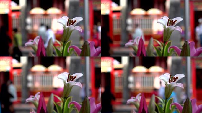 亚洲寺庙祭祀用的花。模糊的背景是崇拜者。主题在右边。