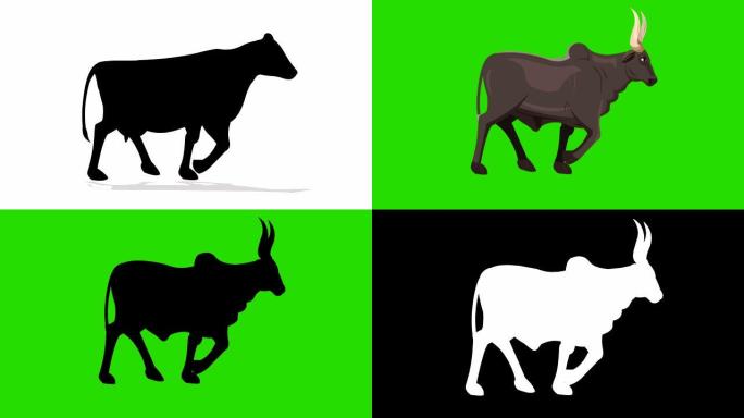 水牛，牛和公牛步行循环动画