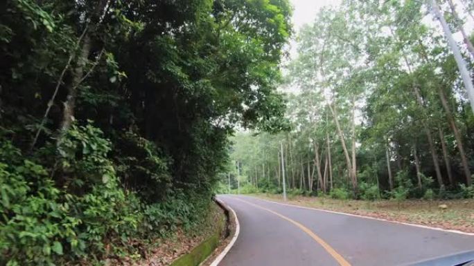 汽车在热带雨林的道路上行驶