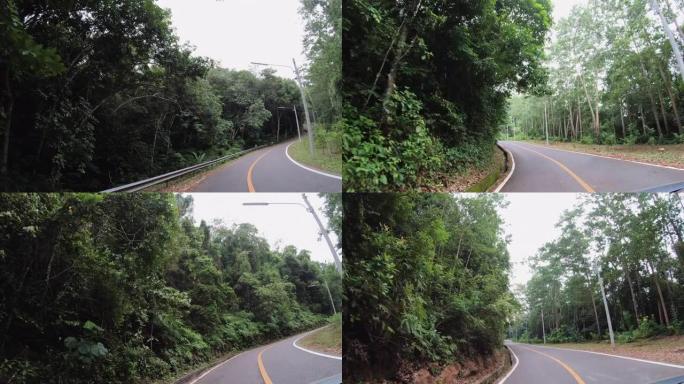 汽车在热带雨林的道路上行驶