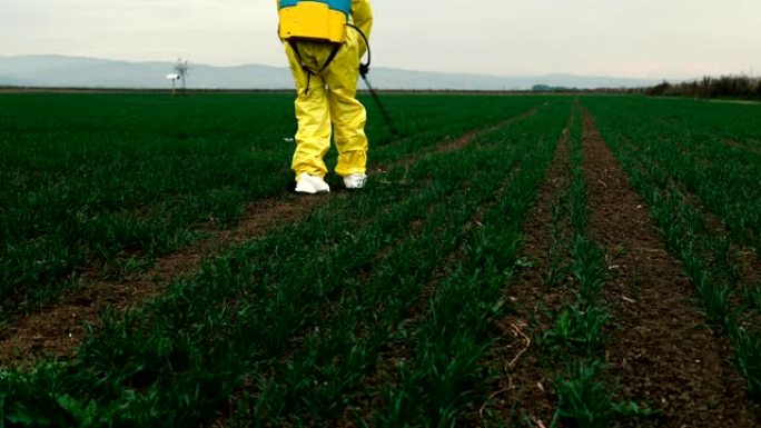 工人喷洒有毒农药现代化农作物撒药