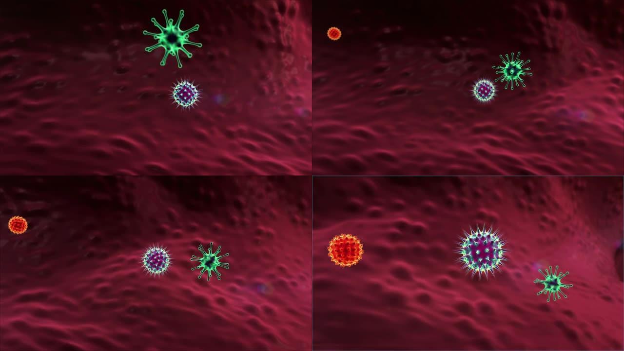 吞噬细胞和病毒