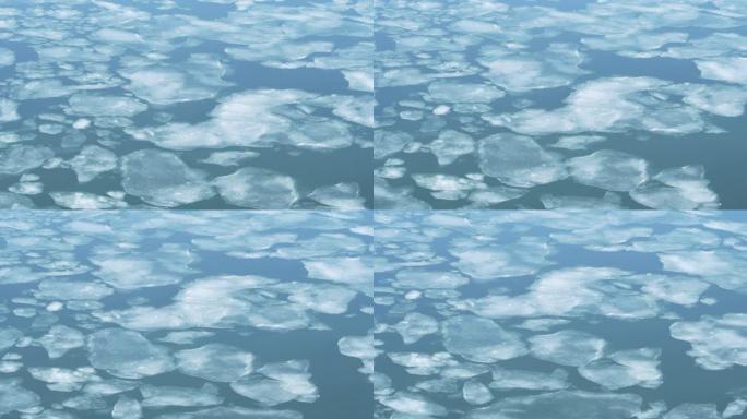 时间流逝的薄浮冰向大海移动