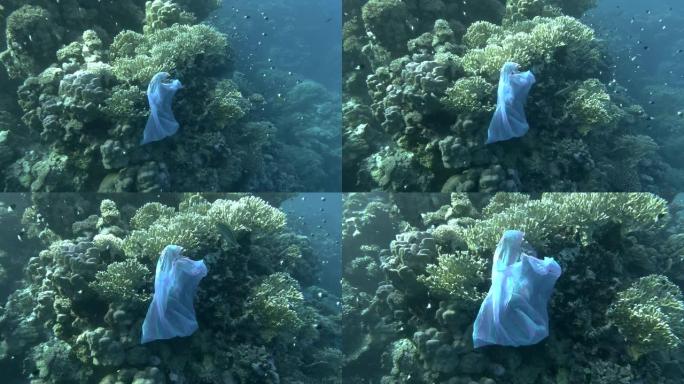 废弃的蓝色塑料袋在美丽的珊瑚礁，附近的游泳学校的clorful热带鱼。摄像机慢慢向前移动。海洋中的塑
