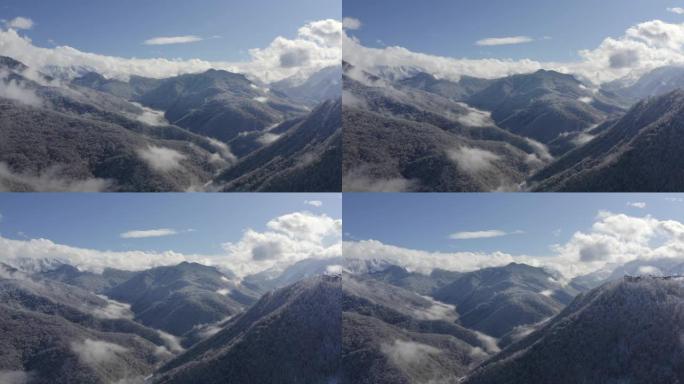 来自飞行无人机的多云天空景观上雪峰上的山村。鸟瞰图蓝雾天空背景上美丽的山谷。雪山和林地的壮丽景色