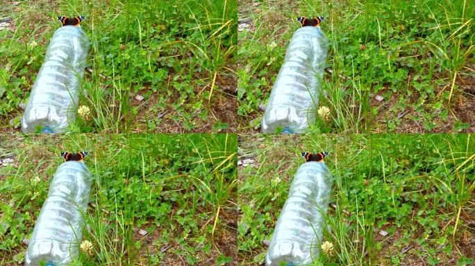 草地上的塑料瓶