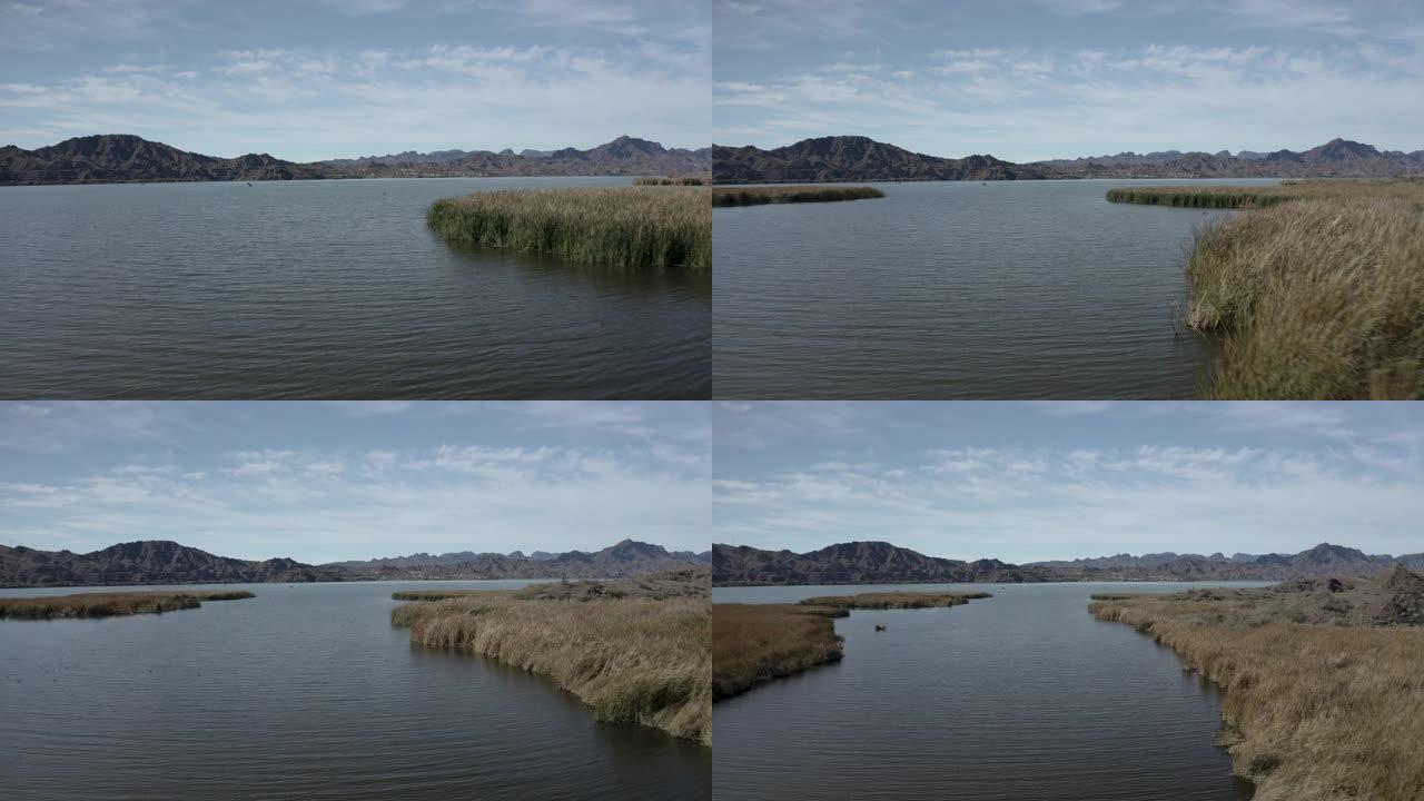 在阳光明媚的日子里，科罗拉多河和帕克大坝沼泽和湿地的空中无人机视图显示了亚利桑那州和加利福尼亚州