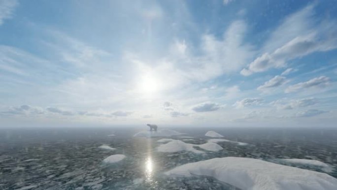 冰原上的北极熊，下雪的天气