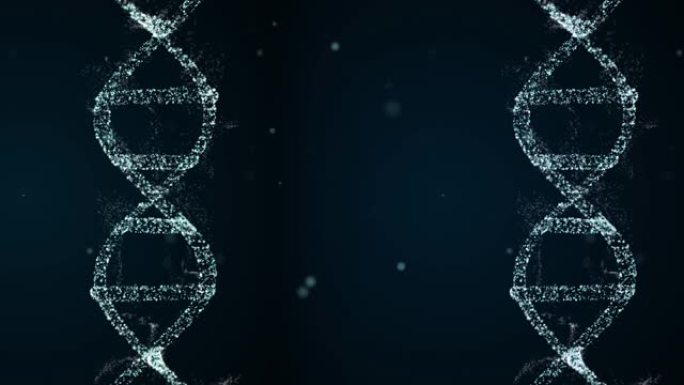 DNA螺旋形分子在解码过程中会转动。