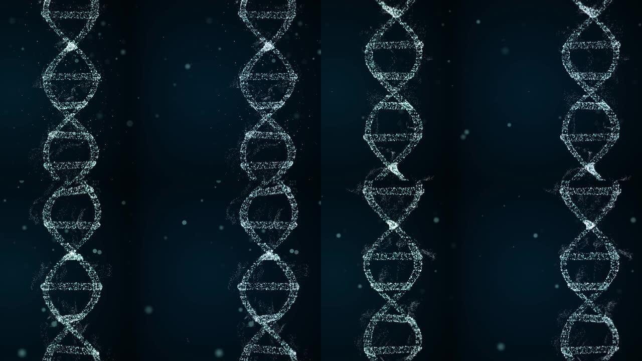 DNA螺旋形分子在解码过程中会转动。