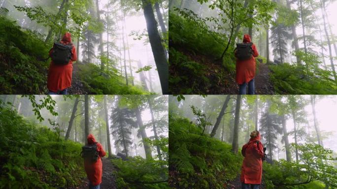 穿着五颜六色雨衣的女人走在潮湿的森林里