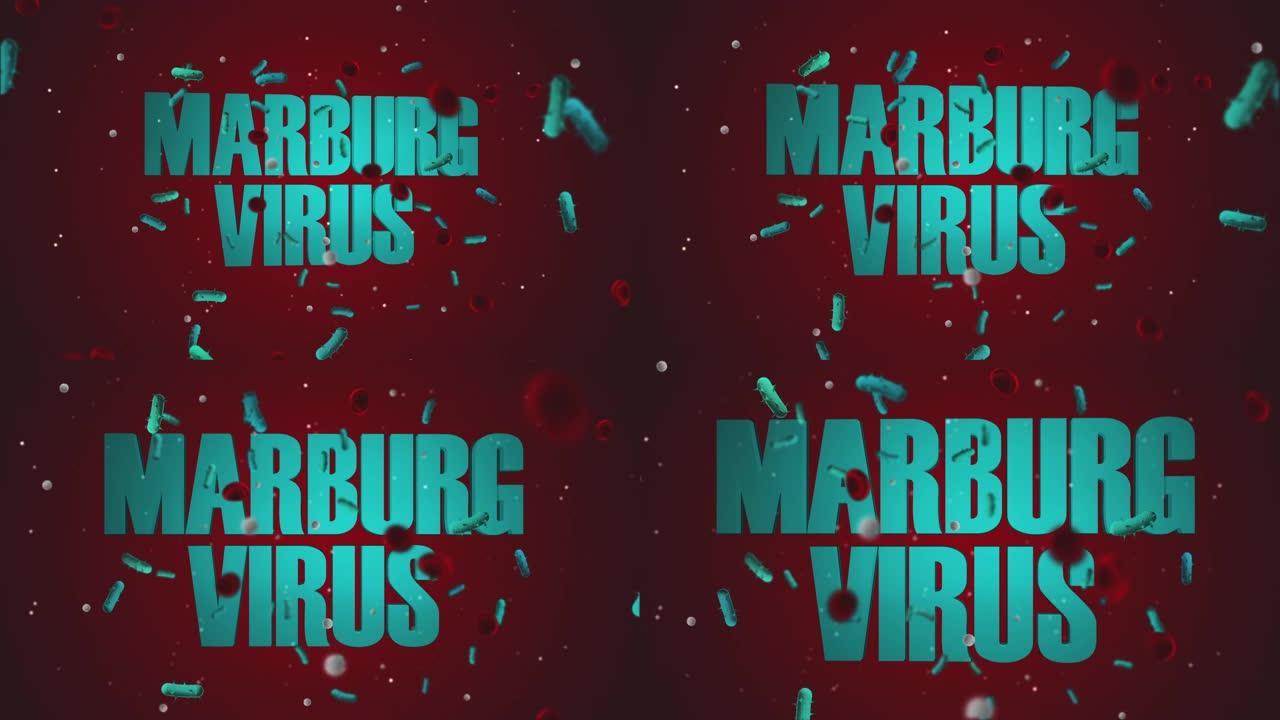 马尔堡病毒4K 60 FPS视频
