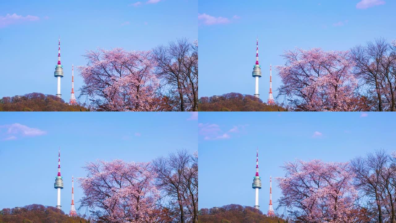 韩国的春天和韩国樱花树盛开的N首尔塔。4k延时