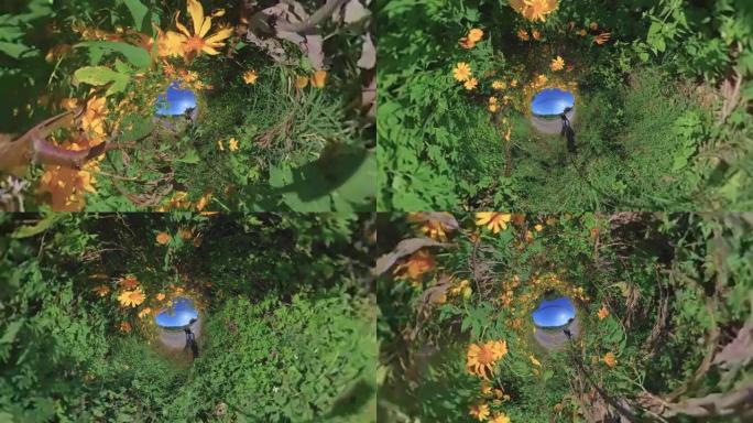 亚洲游客在阳光下漫步在花园农场