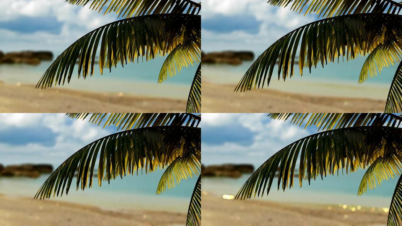 在大海的背景下，在风中摇曳的3d棕榈分支的插图