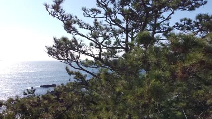 在日本本州最南端拍摄的无人机镜头: 海和岩石
