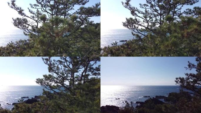 在日本本州最南端拍摄的无人机镜头: 海和岩石