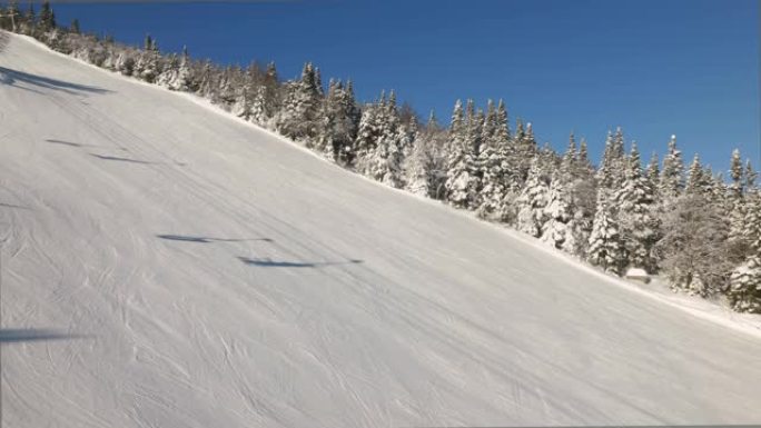 从雪坡上的升降椅上看，树木被雪覆盖