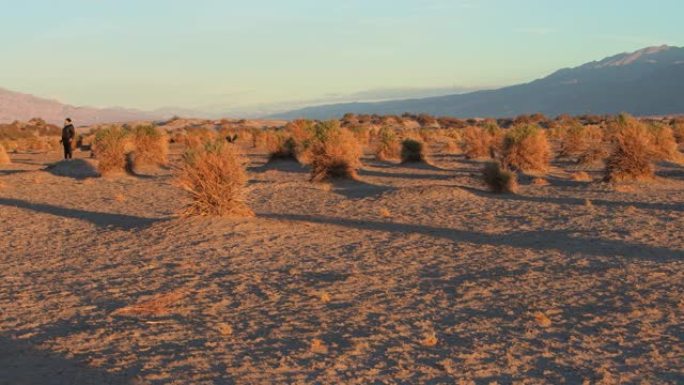 一个女人，游客，在冬天的日出时探索加利福尼亚州死亡谷的魔鬼玉米地。平移摄像机运动。