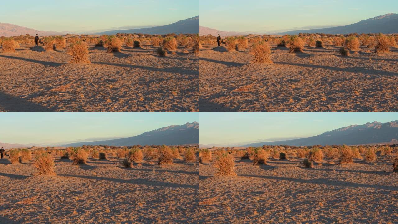 一个女人，游客，在冬天的日出时探索加利福尼亚州死亡谷的魔鬼玉米地。平移摄像机运动。