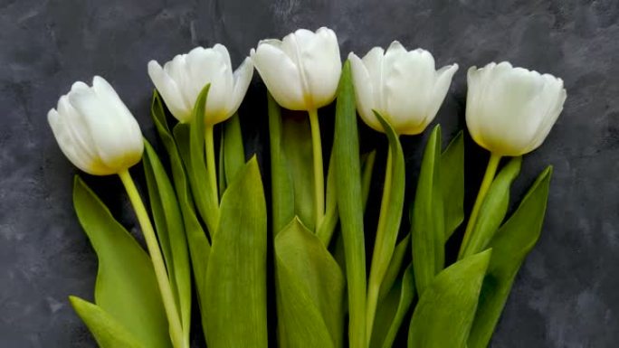 深灰色背景上的白色郁金香花平躺着4k视频顶视图。生日快乐妈妈，3月8日女性，母亲节概念。惊喜礼物春天