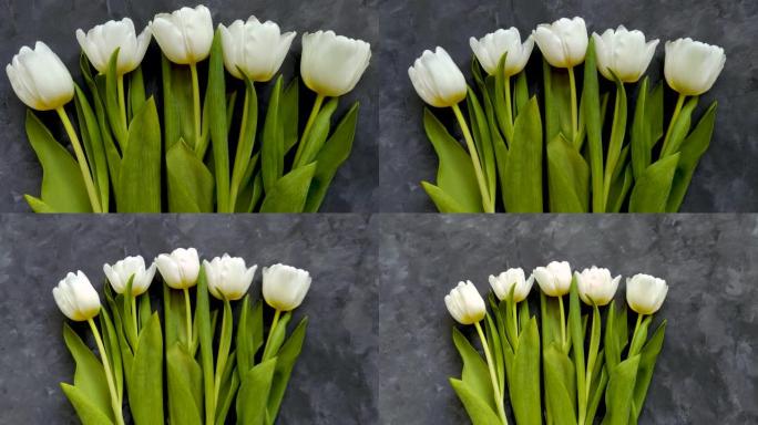 深灰色背景上的白色郁金香花平躺着4k视频顶视图。生日快乐妈妈，3月8日女性，母亲节概念。惊喜礼物春天
