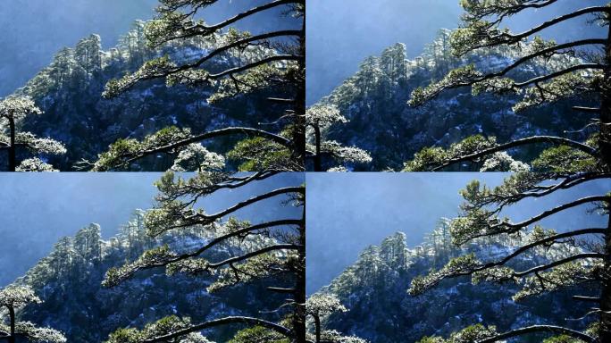 雪后黄山云的时间流逝