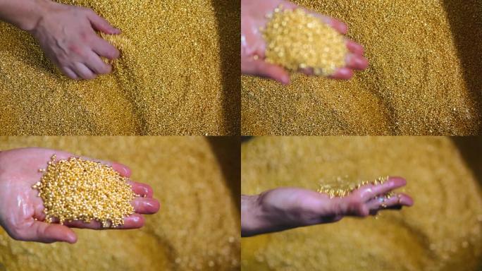 金颗粒金色金子视频素材