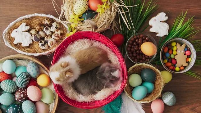 篮子里的复活节兔子，木制桌子上放着五颜六色的鸡蛋。复活节节日装饰，复活节概念背景。