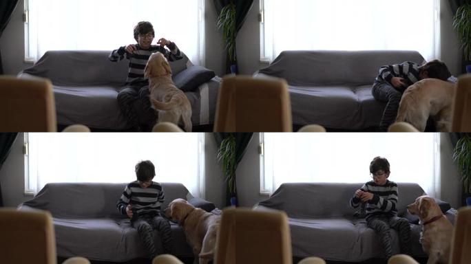 男孩们在客厅里和她的狗玩耍