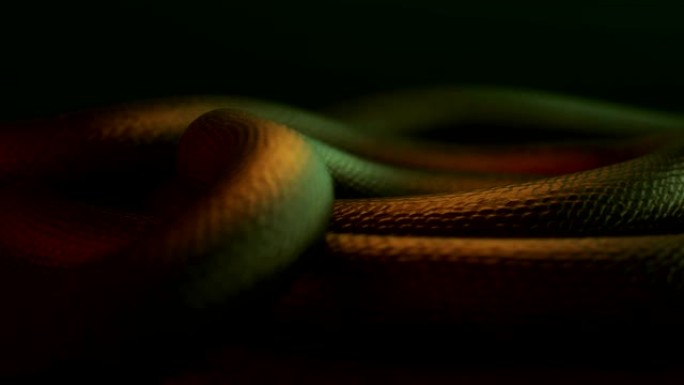 巨龙蛇身体移动的3D动画