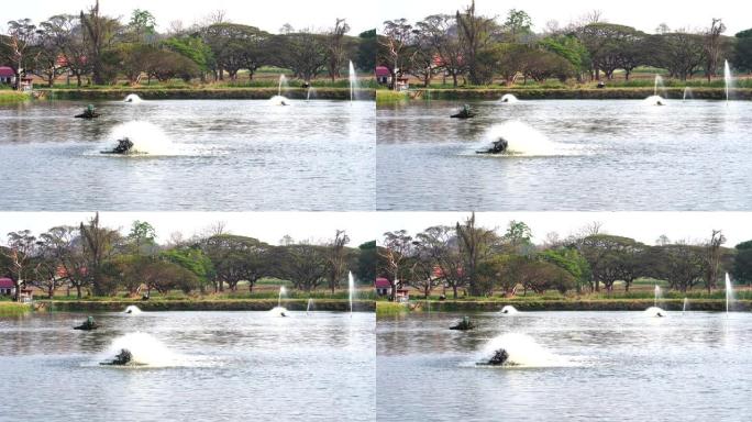 水轮曝气器和池塘喷泉