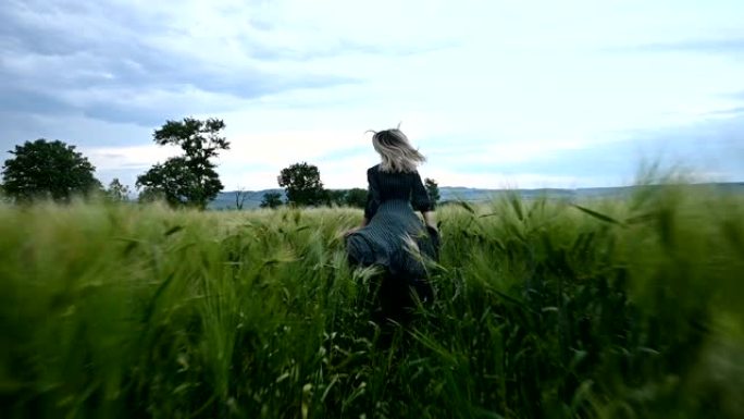 年轻快乐的金发女孩在傍晚的雨中天空背景下在绿色的麦田上奔跑。从后面看