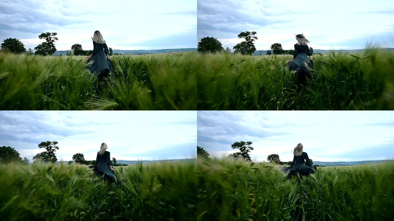 年轻快乐的金发女孩在傍晚的雨中天空背景下在绿色的麦田上奔跑。从后面看